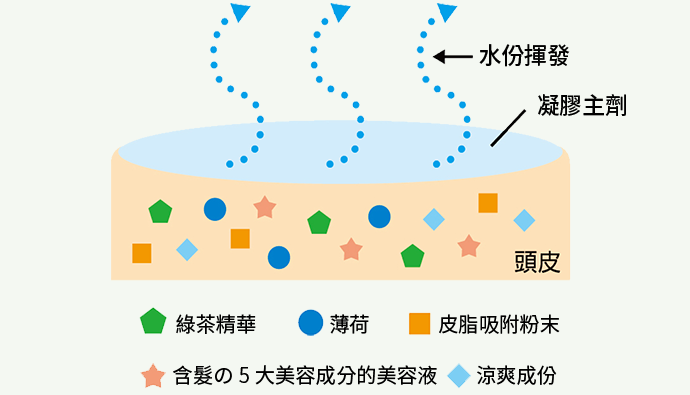 1.スピードドライジェル処方概要図