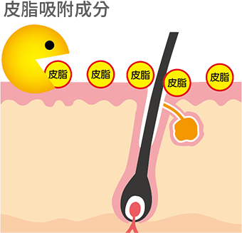 2.頭皮吸着パウダー概要図
