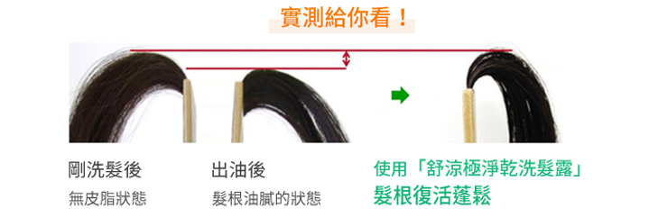 「お部屋シャンプー」使用比較図