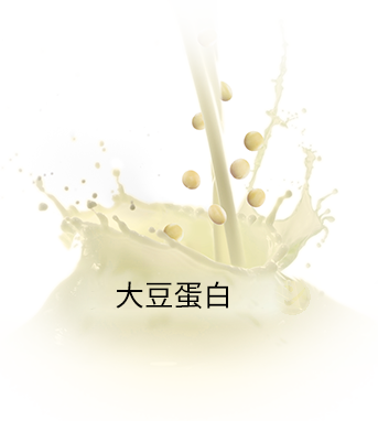 大豆プロテイン